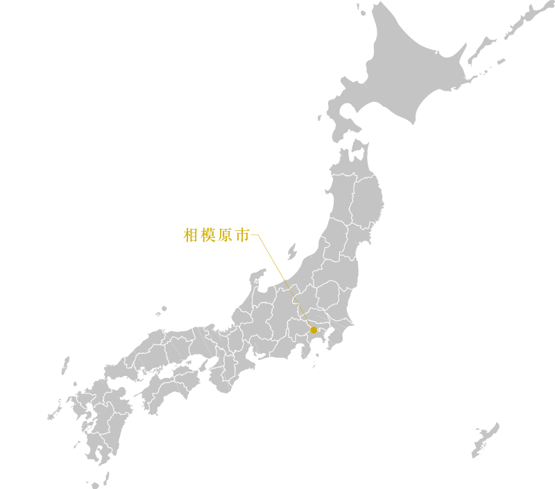 政令指定都市一覧