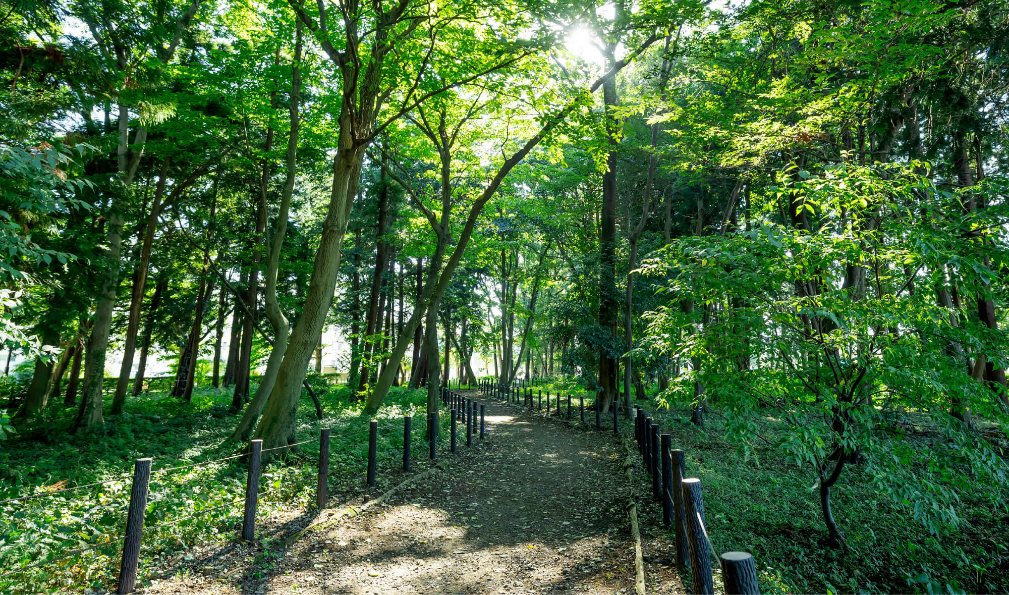 古淵鵜野森公園