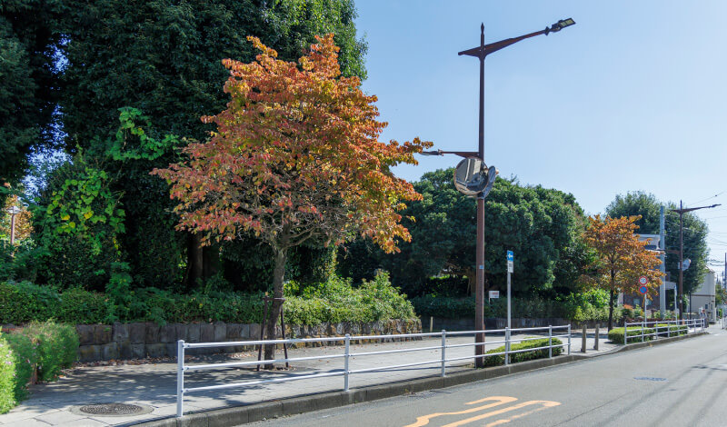 計画地周辺の歩道