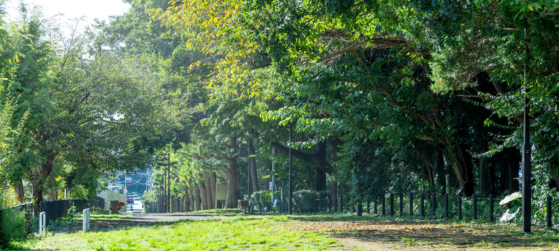 古淵鵜野森公園