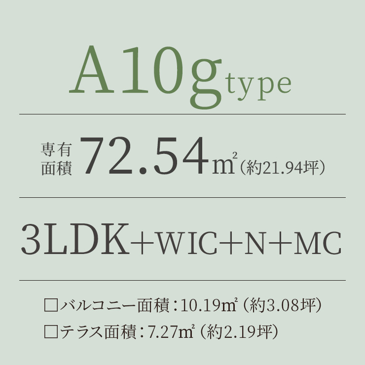 A10g TYPE