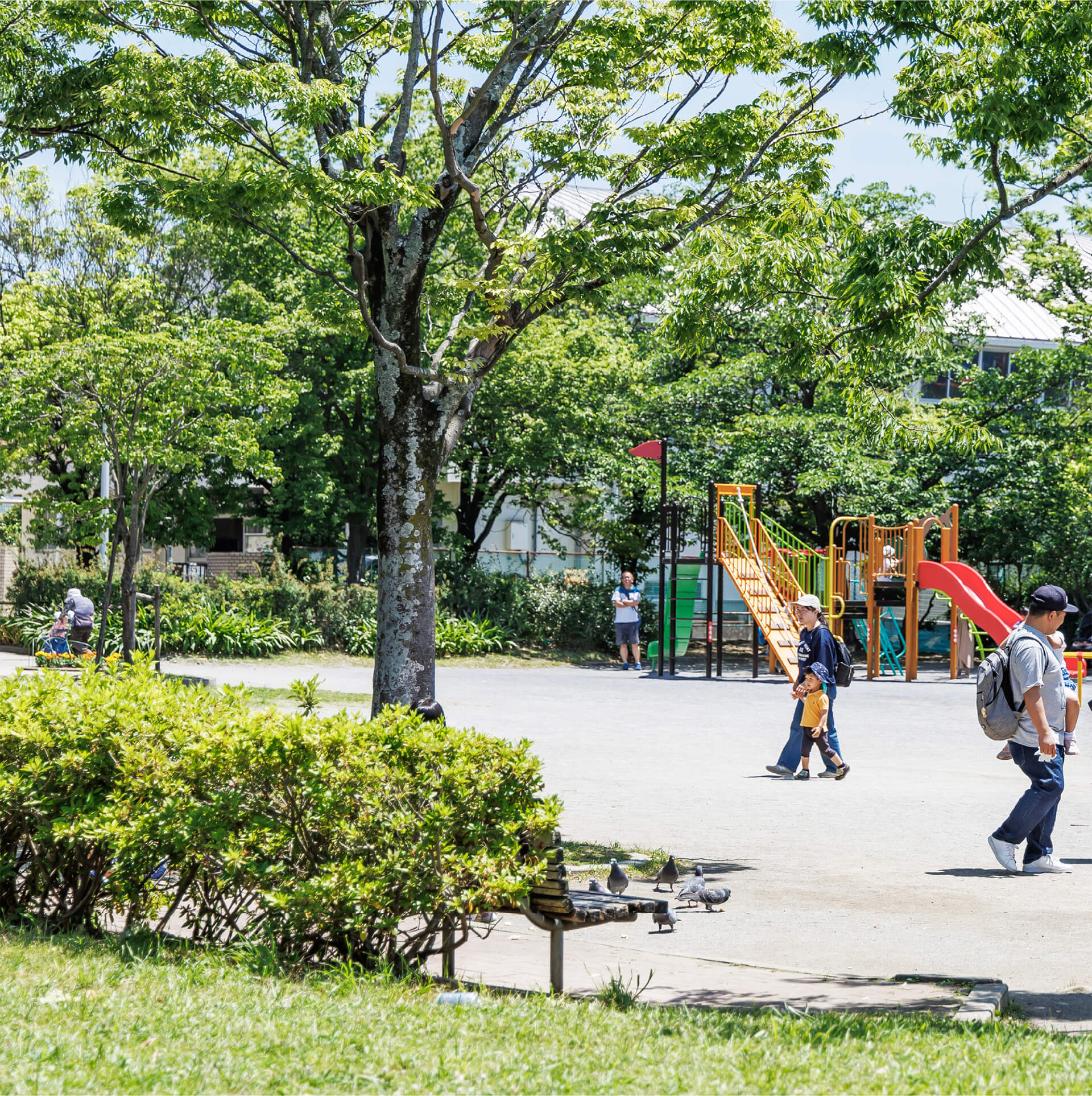 菰池公園（約280m／徒歩4分）